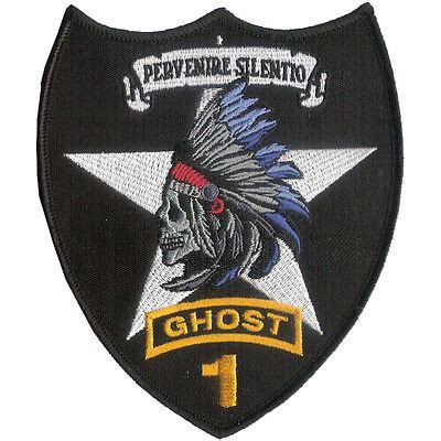 2 Infantry Division (1st Stryker Brigade) Ghost Embroidered Patch - OEF ...