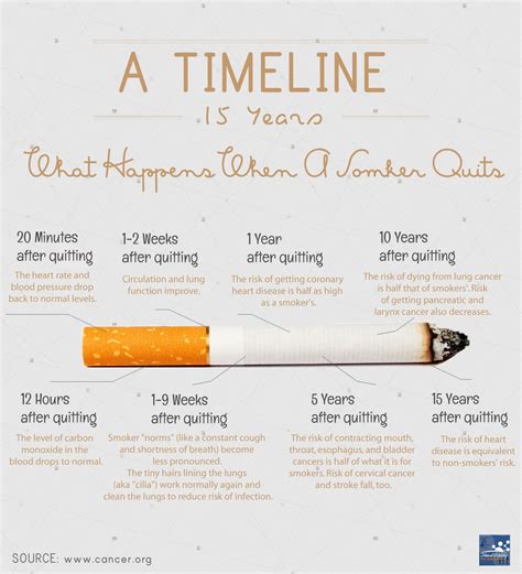 What Happens When You Stop Smoking Infographic – NaturalON - Natural ...