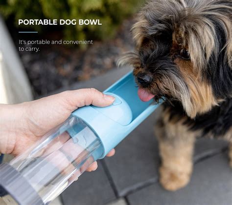 Portable Dog Water Bottle- with Charcoal Filter – Silver Paw