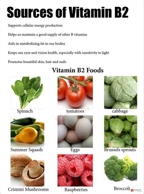 Vitamin B2 : Sources of Vitamin B2 Supports cellular energy production ...