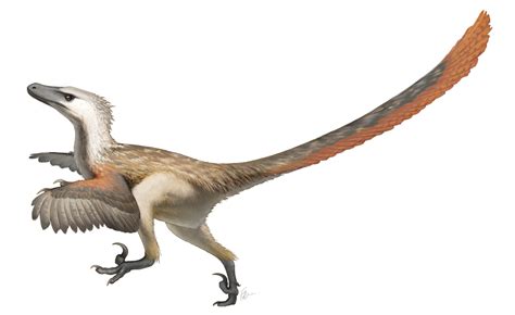 Did The Velociraptors Have Feathers? | Paleontology World