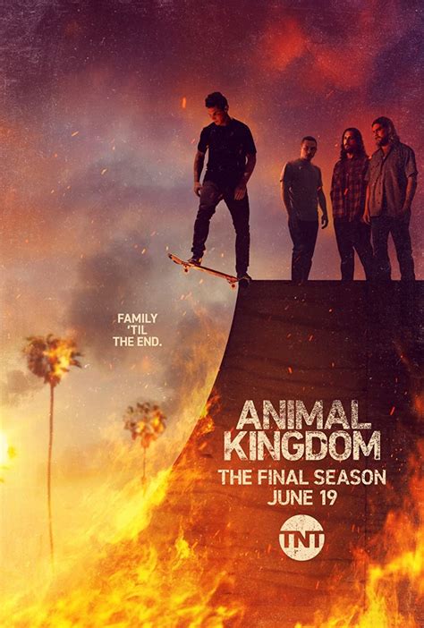 Animal Kingdom Season 1 DVD Release Date | Redbox, Netflix, iTunes, Amazon