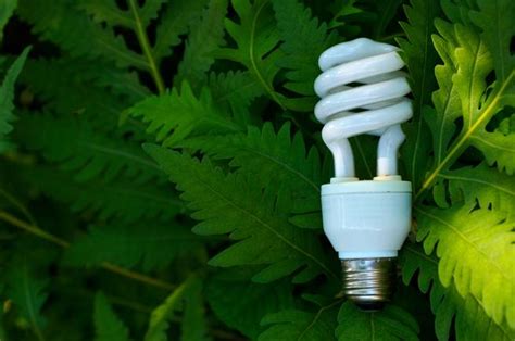 How do energy saving light bulbs work? – Little Green Blog