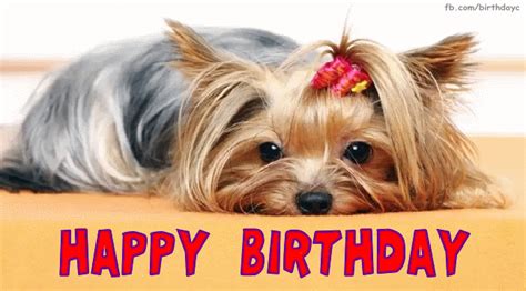 Birthday greeting card with cute dog image | Birthday Greeting ...