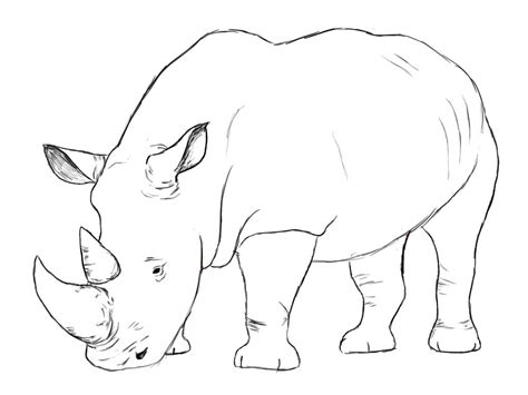 Today's tutorial will cover how to draw a rhinoceros. I've been asked ...