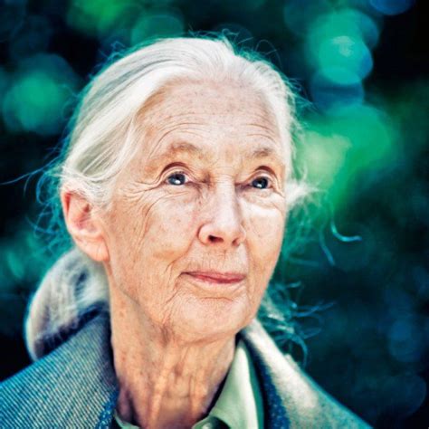 Learn about earth hero jane goodall champion of the chimps – Artofit