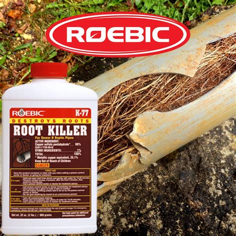 Roebic K-77 Root Killer for Sewer and Septic Systems, Clears Pipes and ...