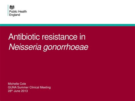 PPT - Antibiotic resistance in Neisseria gonorrhoeae PowerPoint ...