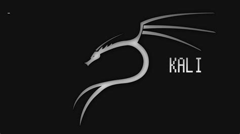 Kali Linux Black Wallpapers - Top Free Kali Linux Black Backgrounds ...