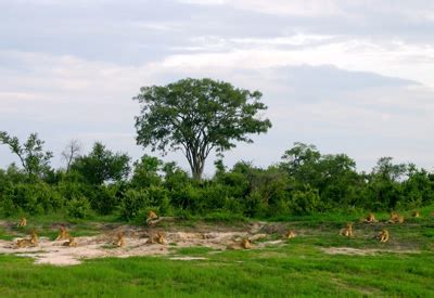 Hwange National Park