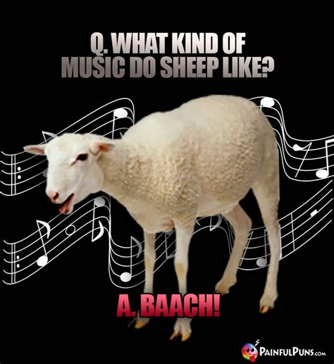 Sheep Jokes, Ewe Puns, Lamb Humor | PainfulPuns.com