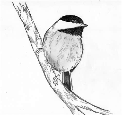 Draw 25 Wild Animals (Even If You Don't Know How to Draw!) - Art Starts