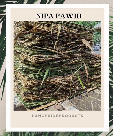 10 PCS Nipa Pawid Roof Hut for Making Bahay Kubo/Gazebo / Pinaor in ...