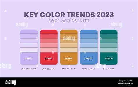 Color palette in Trends 2023 colour theme collections. Color scheme or ...