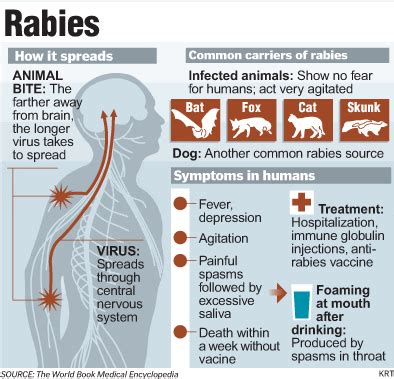 Just Do It! Rabies Vaccination - St. Bernard's Animal Medical Center