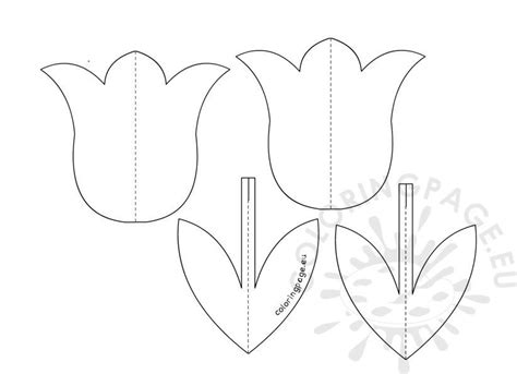 3D Tulip flower template | Coloring Page