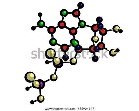 Molecular Structure Adenosine Diphosphate Adp Important Stock ...