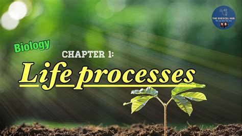 Chapter 1: Life Processes | Biology - YouTube