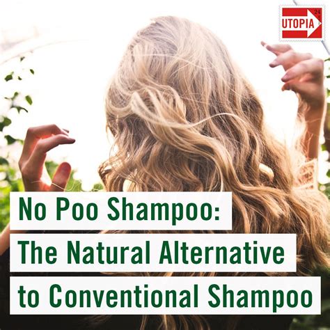 No Poo Shampoo: The Natural Alternative to Conventional Shampoo en 2024