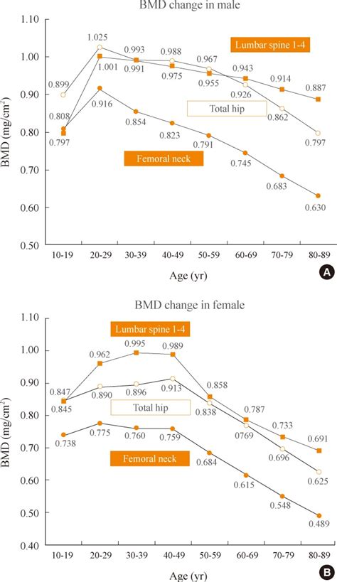 Bone mineral density (BMD) change in the men and women. (A) The graph ...