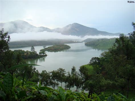 Say2daffodils: Thekkady - Kerala