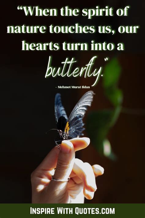 35+ Short Butterfly Quotes that you'll absolutely love - Inspire with ...