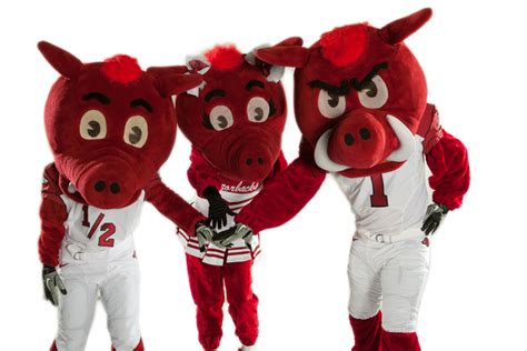 Building the U of A Mascot Program - Go Big Red - Only In Arkansas