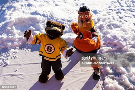 Boston Bruins Mascot Photos and Premium High Res Pictures - Getty Images