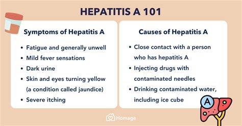 Hepatitis A : Symptoms, Causes, Stages & Treatment - Homage Malaysia