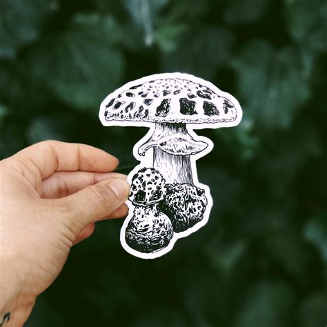 Mushroom Sticker Pack set of 3 Waterproof Stickers Original - Etsy