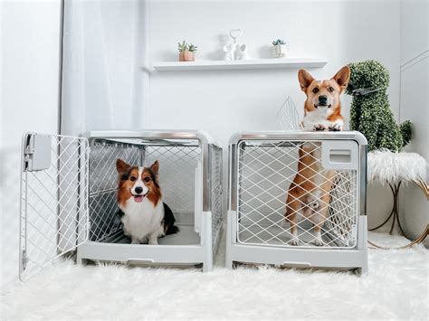 Modern Dog Crates: 7 Stylish Safe Havens - Great Pet Living