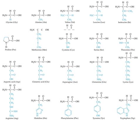 1: Chemical structure for the 20 amino acids that are found in all ...