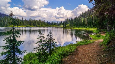 Photos Spruce Nature Forests Scenery Grass Coast Rivers 1920x1080