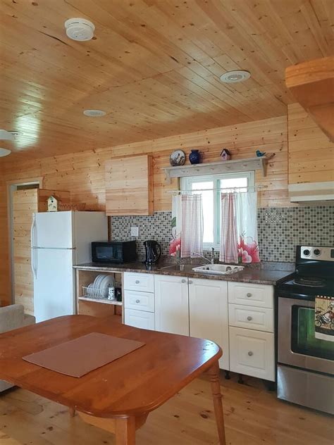 12 Best Pet-Friendly Cabin Rentals Near Lake Huron - Updated 2024 | Trip101