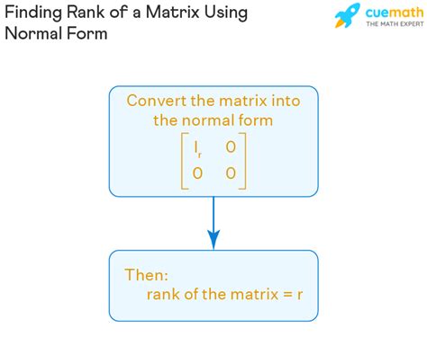 Rank of a Matrix - Definition | How to Find the Rank of the Matrix?