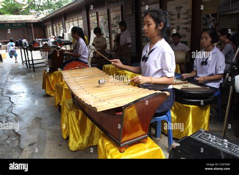 Thai students performing Ranat Ek (traditional Thai xylophone Stock ...