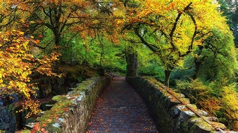 nature, Forest, Bridge, River, Scotland, Fall, Rocks, Wilderness ...