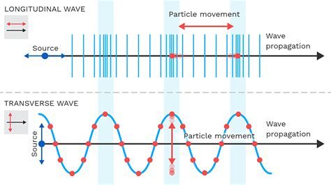 Transverse Wave And Longitudinal Wave Diagram