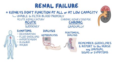 Urinary system: Renal failure - Osmosis Video Library