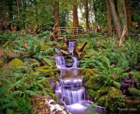 "Enchanted Waterfall" by Gareth Jones | Redbubble