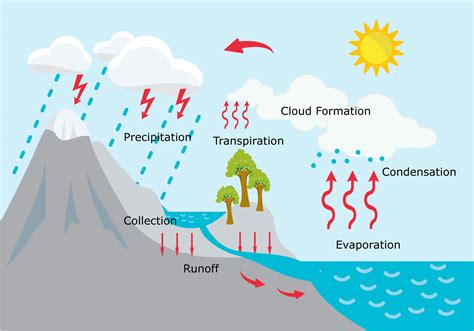 Water Cycle Illustration - Download Free Vector Art, Stock Graphics ...