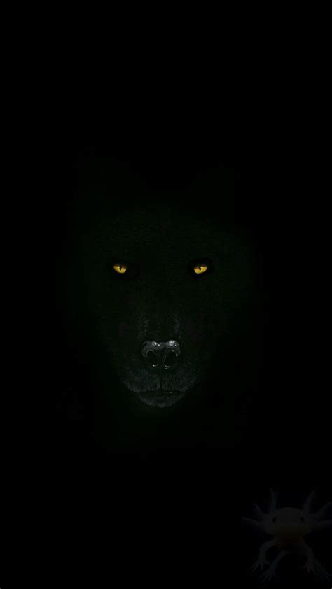 Discover 79+ wolf eyes wallpaper best - 3tdesign.edu.vn