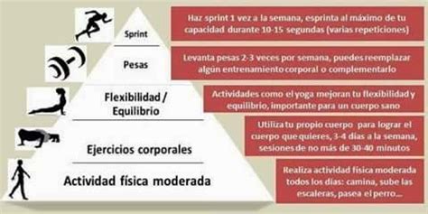 correcaminos: Tipos de actividad física