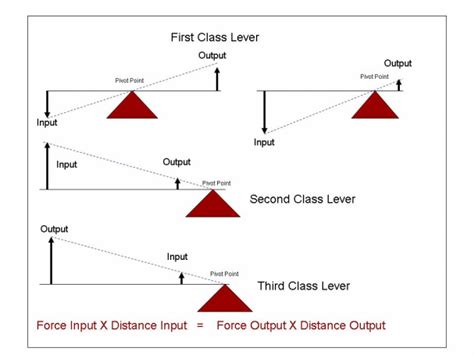 Levers and mechanical advantage