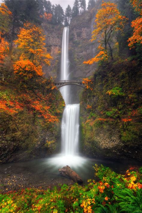 Multnomah Falls with autumn colors | Autumn scenery, Waterfall, Scenery