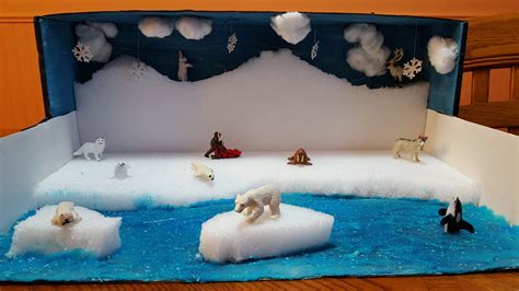 Arctic seal diorama, second grade project | Projects to Try | Pinterest ...