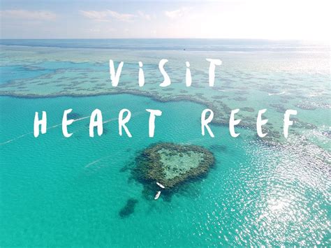 Visit Heart Reef, Whitsundays - Sailing Whitsundays