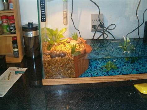 Easy Diy Turtle Basking Platform / 40 Turtle Topper Above Tank Basking ...