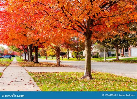 Suburban Neighborhood Sidewalk and Street in Autumn Looking Downhill ...