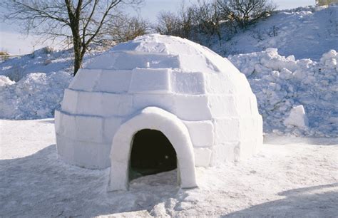 Iglu Building